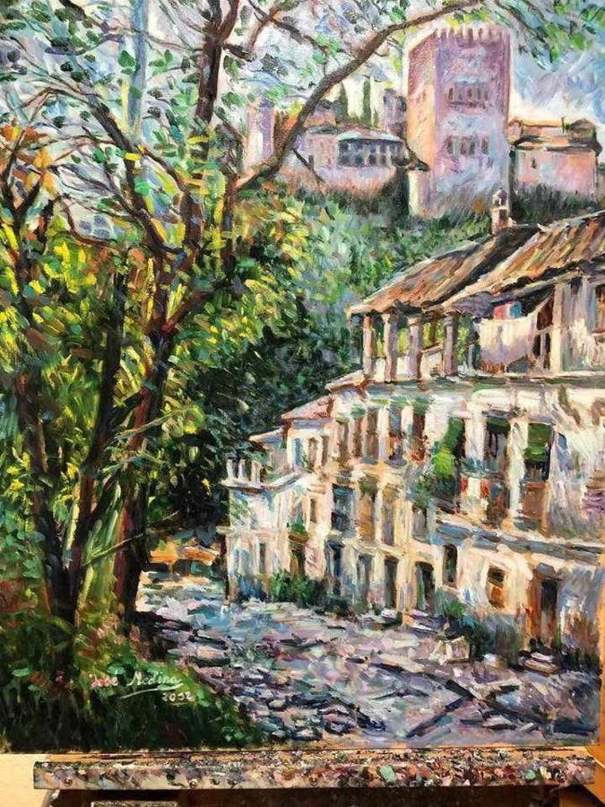 Apartamento Para Dos Al Lado De La Alhambra, En Pleno Centro Granada Luaran gambar